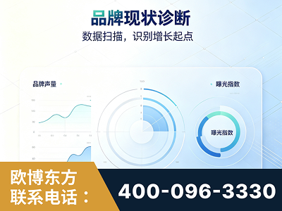 枝江-品牌现状诊断