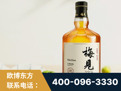 枝江-梅见青梅酒